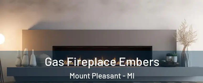  Gas Fireplace Embers Mount Pleasant - MI