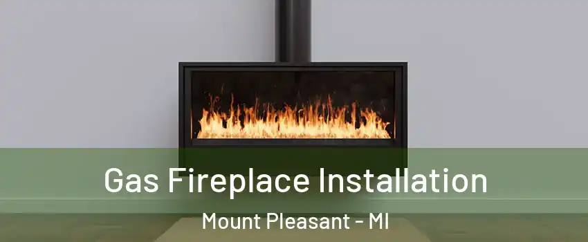  Gas Fireplace Installation Mount Pleasant - MI