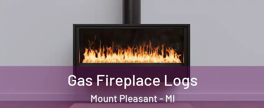  Gas Fireplace Logs Mount Pleasant - MI