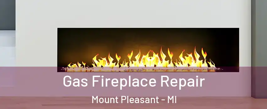  Gas Fireplace Repair Mount Pleasant - MI