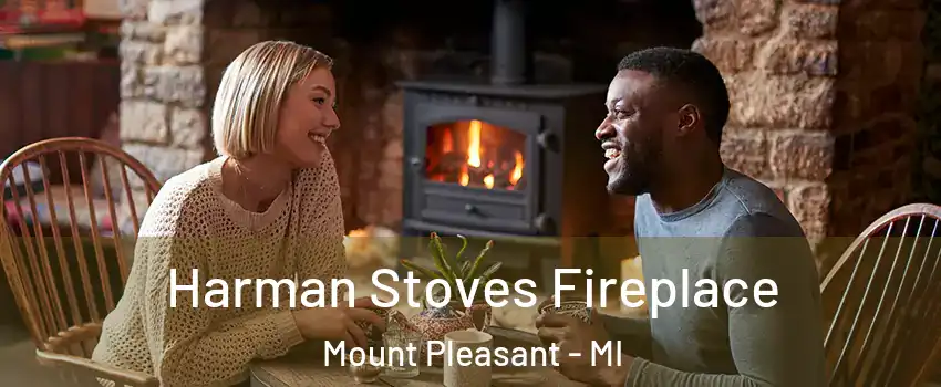  Harman Stoves Fireplace Mount Pleasant - MI