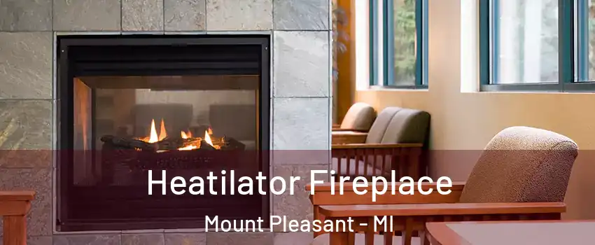  Heatilator Fireplace Mount Pleasant - MI