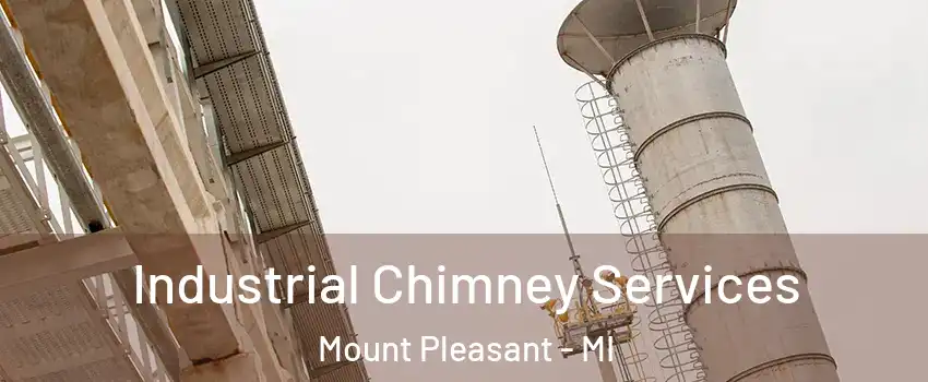  Industrial Chimney Services Mount Pleasant - MI