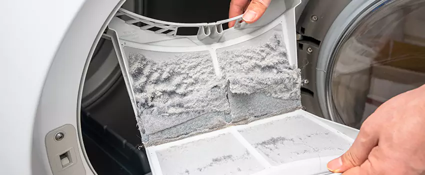 Best Dryer Lint Removal Company in Mount Pleasant, Michigan
