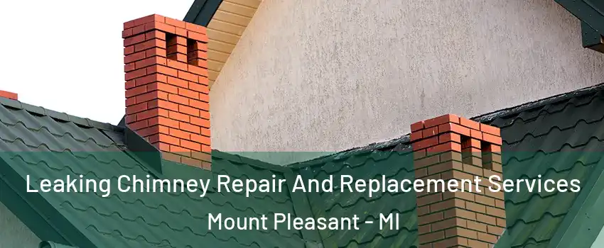 Leaking Chimney Repair And Replacement Services Mount Pleasant - MI