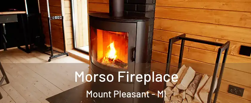  Morso Fireplace Mount Pleasant - MI