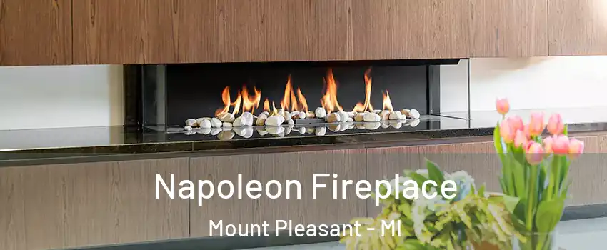  Napoleon Fireplace Mount Pleasant - MI