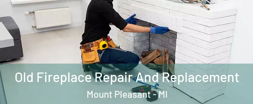  Old Fireplace Repair And Replacement Mount Pleasant - MI