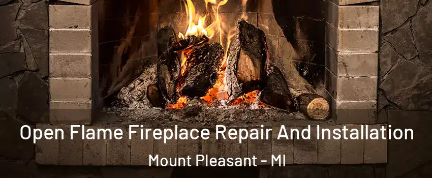  Open Flame Fireplace Repair And Installation Mount Pleasant - MI