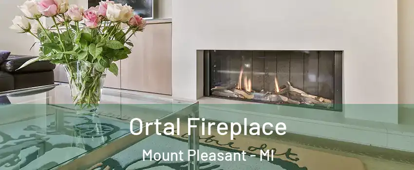  Ortal Fireplace Mount Pleasant - MI