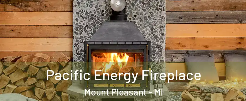  Pacific Energy Fireplace Mount Pleasant - MI
