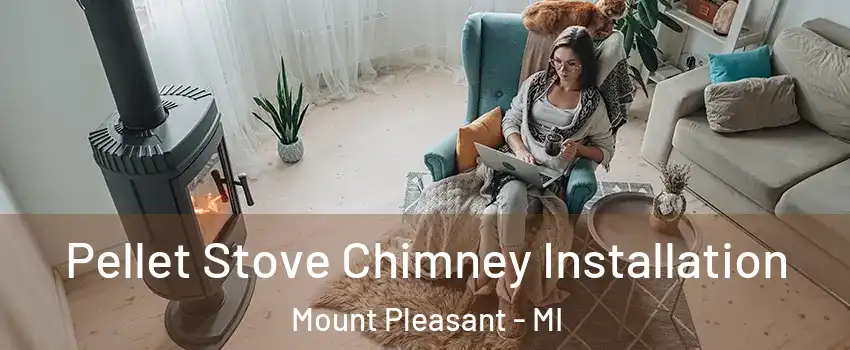  Pellet Stove Chimney Installation Mount Pleasant - MI
