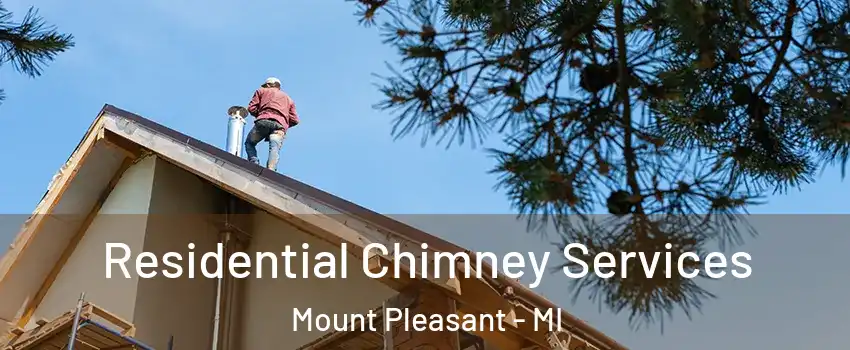  Residential Chimney Services Mount Pleasant - MI