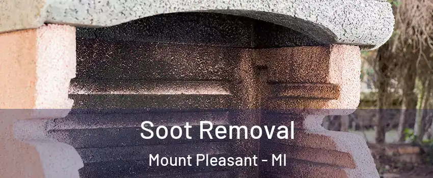  Soot Removal Mount Pleasant - MI