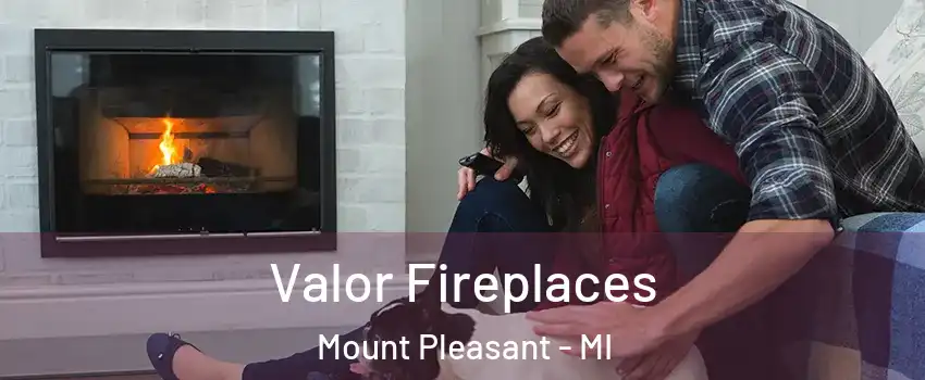  Valor Fireplaces Mount Pleasant - MI