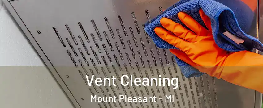  Vent Cleaning Mount Pleasant - MI