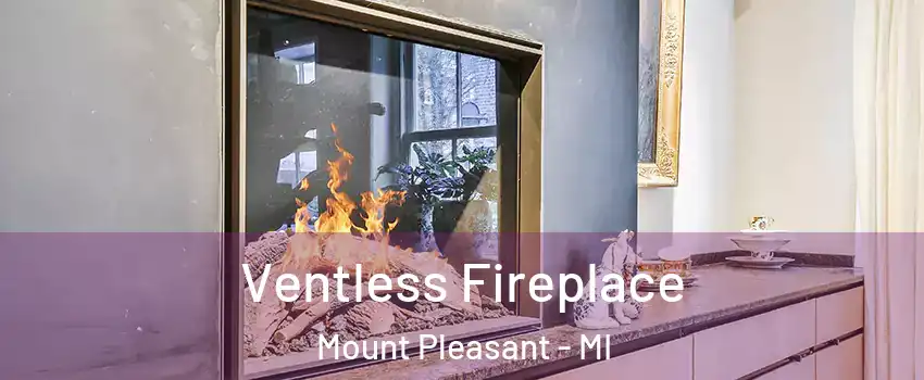  Ventless Fireplace Mount Pleasant - MI