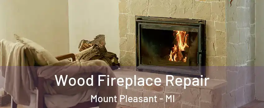  Wood Fireplace Repair Mount Pleasant - MI
