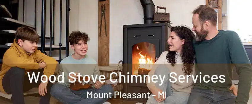  Wood Stove Chimney Services Mount Pleasant - MI