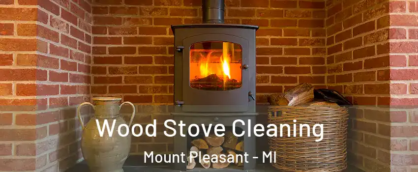  Wood Stove Cleaning Mount Pleasant - MI