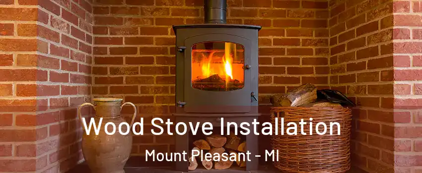  Wood Stove Installation Mount Pleasant - MI