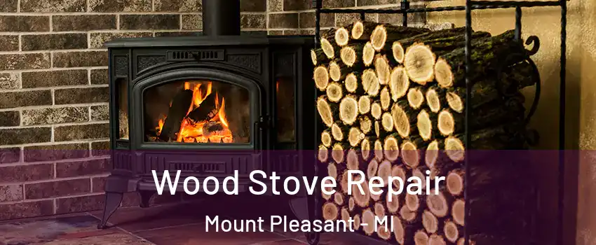  Wood Stove Repair Mount Pleasant - MI